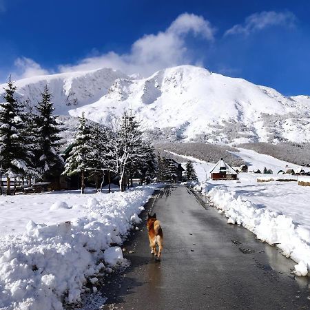 Apartments Snowflake Zabljak  Bagian luar foto