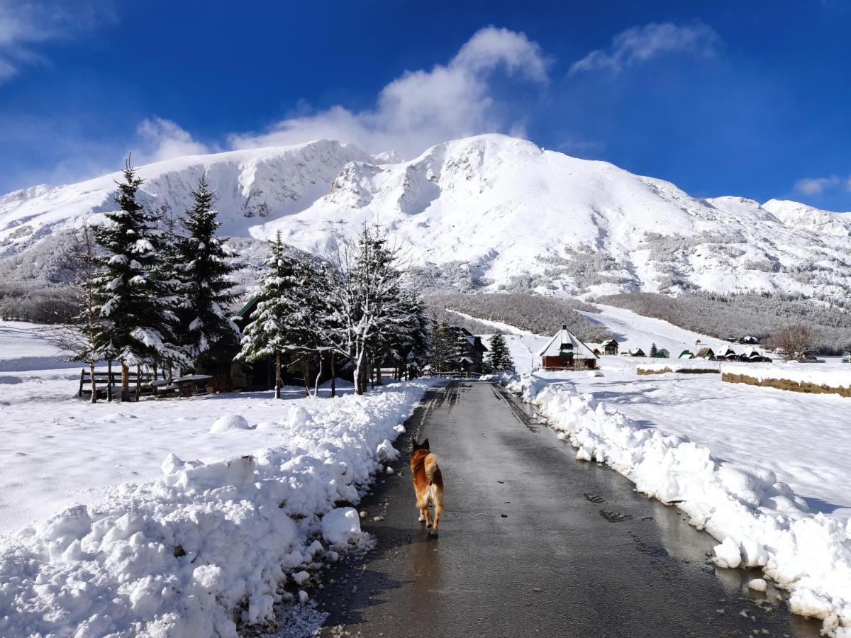 Apartments Snowflake Zabljak  Bagian luar foto