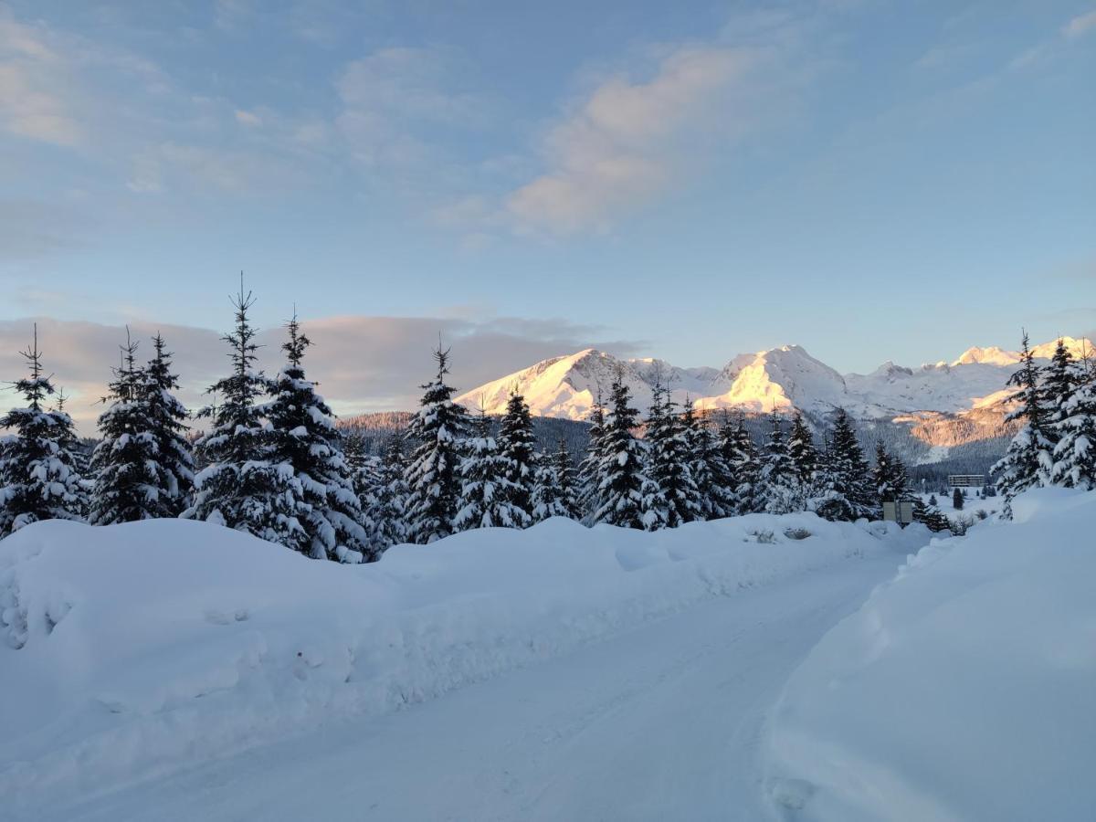 Apartments Snowflake Zabljak  Bagian luar foto